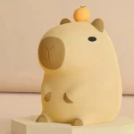 شب خواب سیلیکونی کاپی بارا